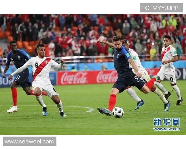 秘鲁与法国足球对决技术统计分析全面解读